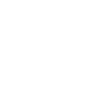 Broad compatibility with Mac and Windows