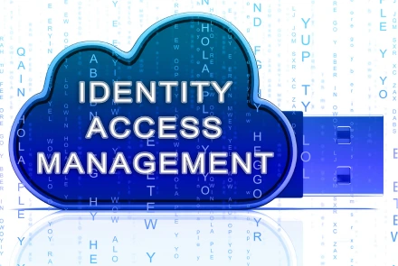 Identity and Access Management (IAM)