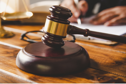 Law Enforcement Organization Technologies