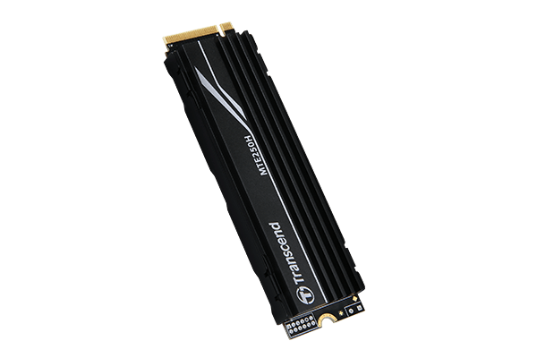 PCIe SSD 250H